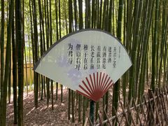 -陈家山荷花公园