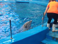 -多彩贵州城极地海洋世界