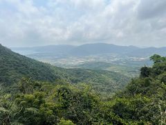-三亚亚龙湾人间天堂鸟巢度假村