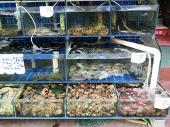 -香满居张记小厨私房菜(青岛站店)