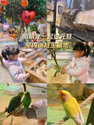 -酷嗒动物文化乐园(cutezoo西溪乐天城店)