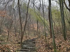 -南山风景名胜区