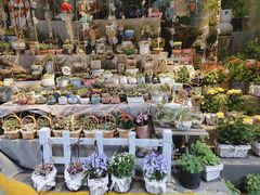 -循礼门鲜花花市(武汉循礼门店)