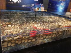 -焰江山海鲜牛排烤肉自助(锦华万达二星店)