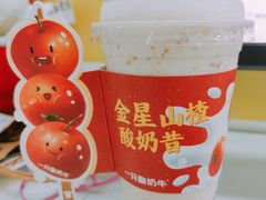 -一只酸奶牛(锦城万达天虹店)