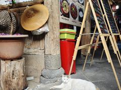 -龙姐私房菜(和顺古镇店)