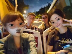 -Big Bus Tours 敞篷观光巴士