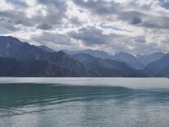 -蘑菇拌面•正宗新疆菜