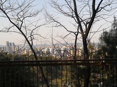 -飞凤山奥体公园
