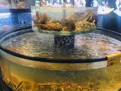 -寻味顺德·珍之宝酒楼(银钻店)