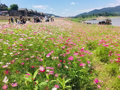 -木洞河街