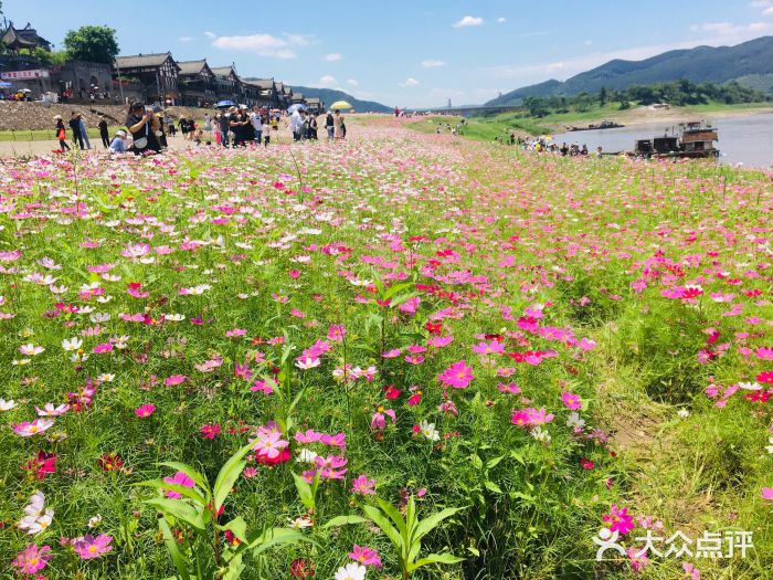 木洞河街图片
