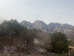 -北京凤凰岭