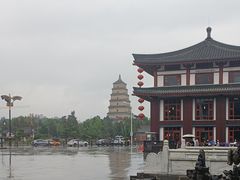 -唐猫庭院·千年陕菜(大唐不夜城店)