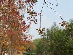 -同济大学(嘉定校区)