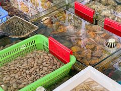 -七鲜渔港美食餐厅(巽寮湾海景店)