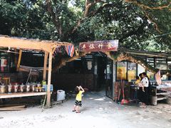 -丰依竹食·老牌竹筒饭