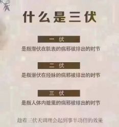 -香薇妮丝·定制减肥·身材管理