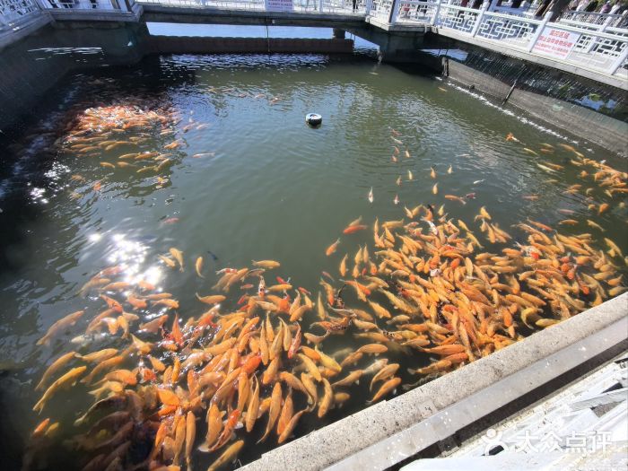 长春市南湖公园图片