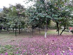 -飞来湖湿地公园