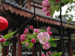 -大唐博相府酒店·陕西官府菜