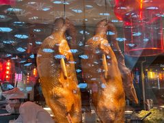 -陈鹏鹏潮汕菜(宝安机场T3航站楼店)