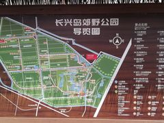 -上海长兴岛郊野公园