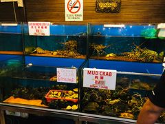 -真浪花园海鲜餐馆