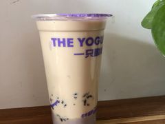 -一只酸奶牛(春熙路店)