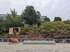 -广州七星岗古海岸遗址科学公园