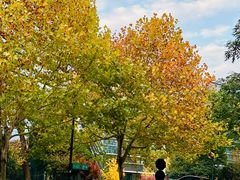 -阿里中心·杭州Z空间