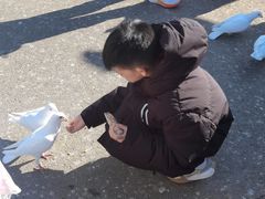 -泉城欧乐堡海洋极地世界