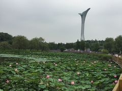 -沈阳植物园