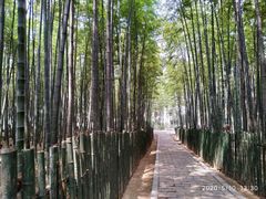 -月敏农家乐(树山店)