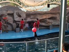 -泉州海丝野生动物世界