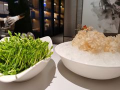 绣球菌-红雀围·海鲜火锅(陆家嘴中心店)