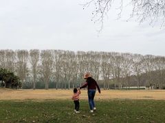 -河南省黄河迎宾馆