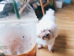 -花生咖啡 peanut coffee