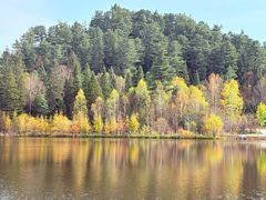 -五营红松林海景区