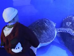 -成都浩海立方海洋公园