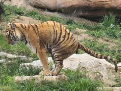 -北京野生动物园