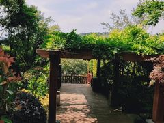 -七彩云南古滇温泉山庄