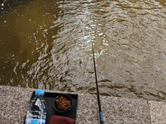 -粮心小农·大头虾亲子生态园(长发店)