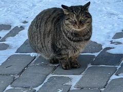 -云峰山自然风景区