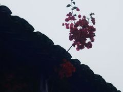 -东沙渔村