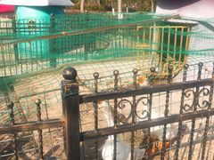 -上海滴水湖皇冠假日酒店