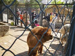 -长白岛森林公园