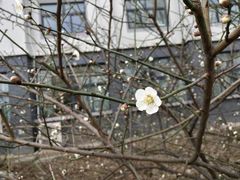 -晓庄学院-食堂