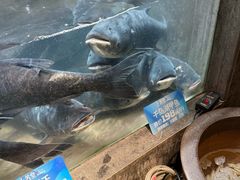 -上名堂·鱼头好吃(体育场路店)