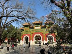 -北京国子监胡同